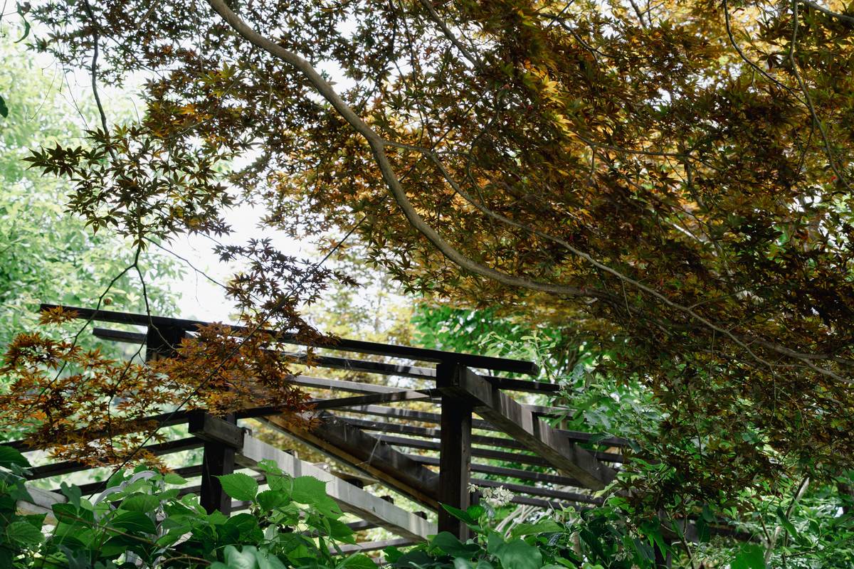 metal arbors for gardens installed with climbing jasmine and woven willow privacy panels on a compact urban patio