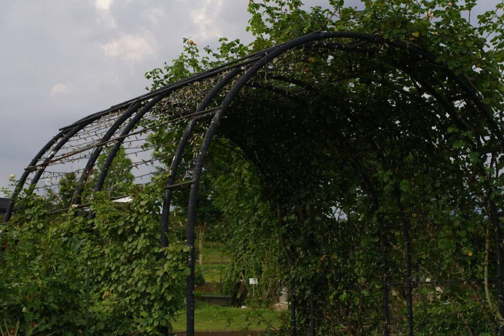 Metal Arbors for Gardens: 7 Proven Reasons They’re the Easiest Long-Term Privacy Solution