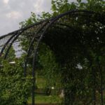 Metal Arbors for Gardens: 7 Proven Reasons They’re the Easiest Long-Term Privacy Solution